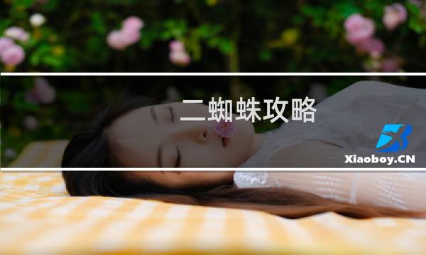 二蜘蛛攻略