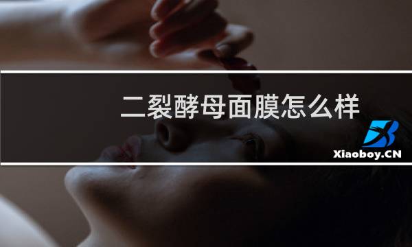 二裂酵母面膜怎么样