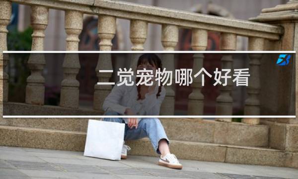 二觉宠物哪个好看