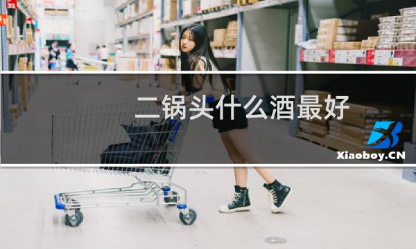 二锅头什么酒最好