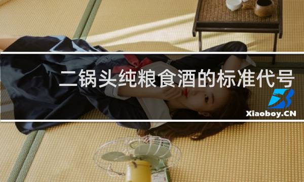 二锅头纯粮食酒的标准代号
