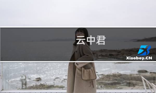 云中君 最强出装