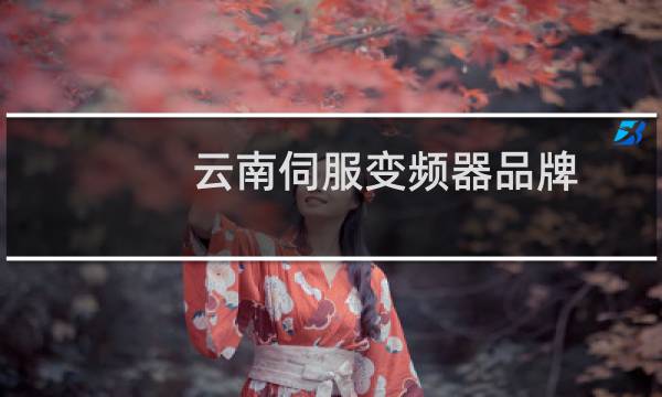 云南伺服变频器品牌