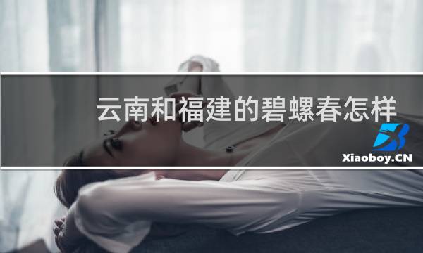 云南和福建的碧螺春怎样