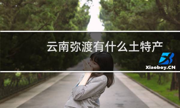 云南弥渡有什么土特产