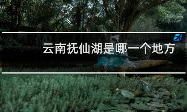 云南抚仙湖是哪一个地方