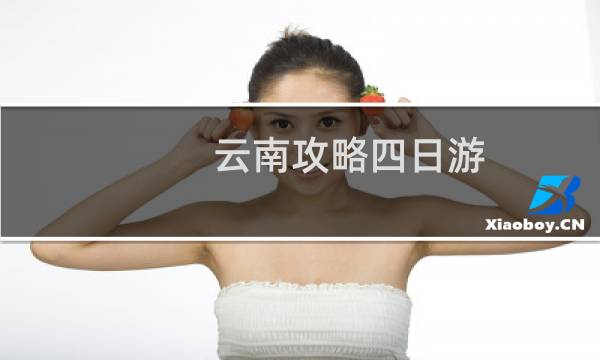 云南攻略四日游