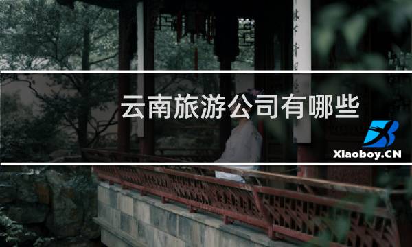 云南旅游公司有哪些
