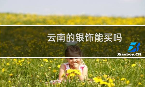 云南的银饰能买吗