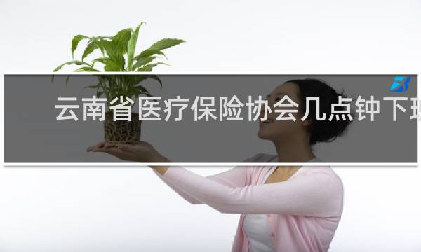 云南省医疗保险协会几点钟下班