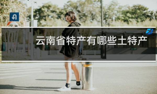 云南省特产有哪些土特产