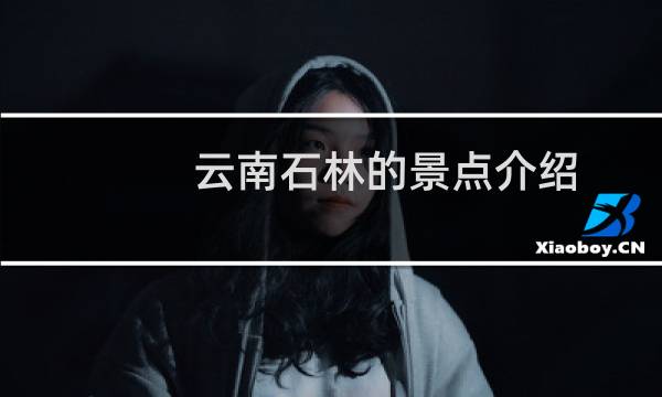 云南石林的景點(diǎn)介紹