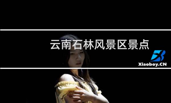 云南石林風景區(qū)景點