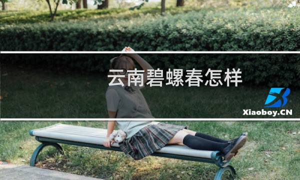 云南碧螺春怎样