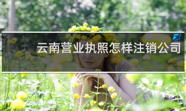 云南营业执照怎样注销公司