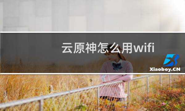 云原神怎么用wifi