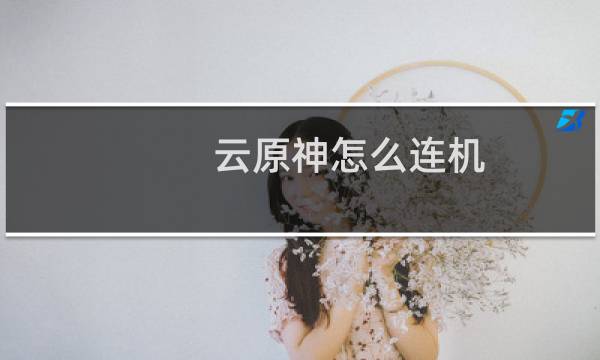 云原神怎么连机