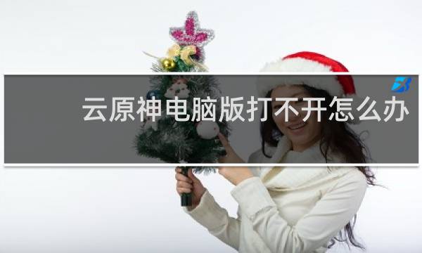 云原神电脑版打不开怎么办
