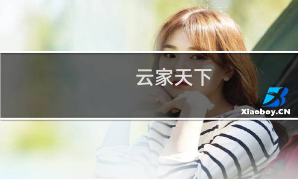 云家天下 攻略