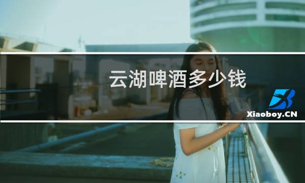 云湖啤酒多少钱