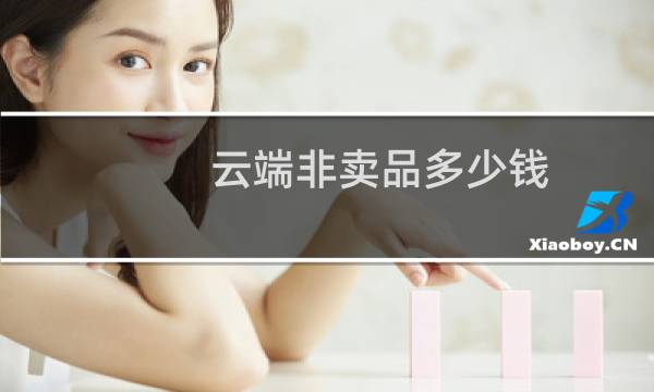 云端非卖品多少钱