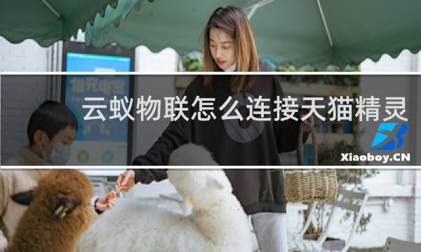 云蚁物联怎么连接天猫精灵