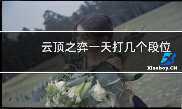 云顶之弈一天打几个段位
