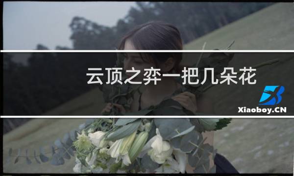 云顶之弈一把几朵花
