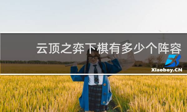 云顶之弈下棋有多少个阵容