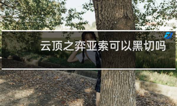 云顶之弈亚索可以黑切吗