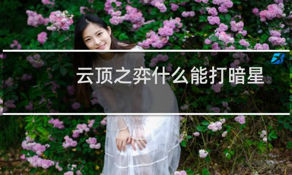 云顶之弈什么能打暗星