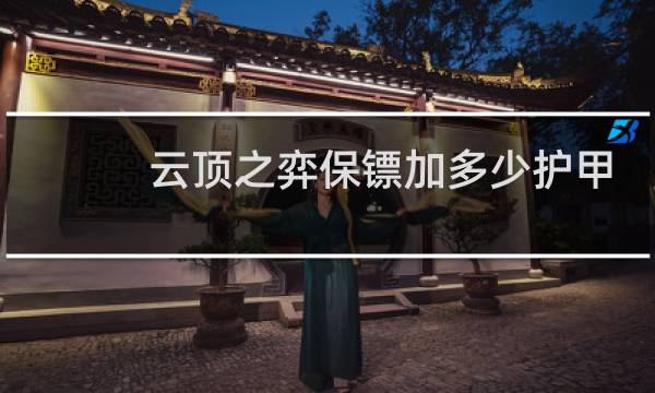 云顶之弈保镖加多少护甲