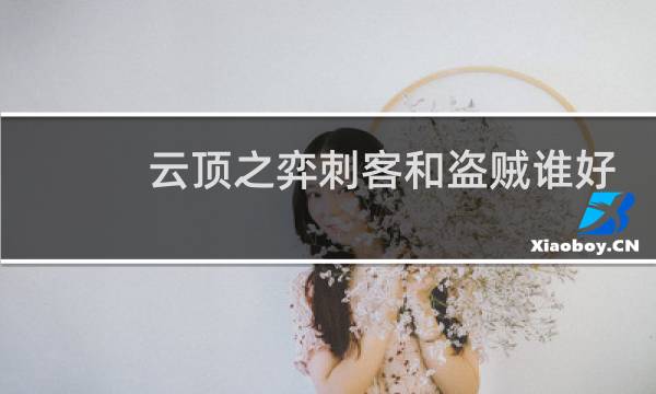 云顶之弈刺客和盗贼谁好