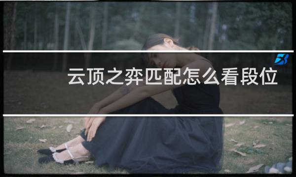 云顶之弈匹配怎么看段位