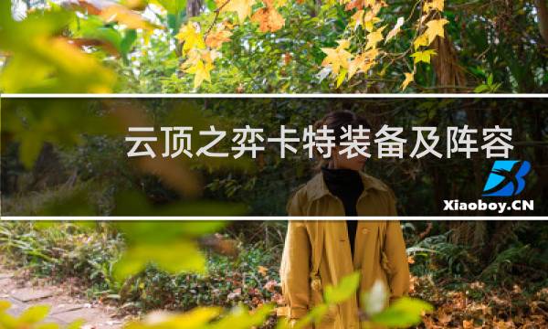 云顶之弈卡特装备及阵容