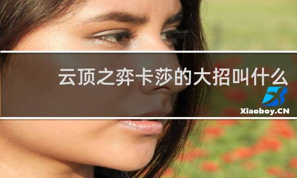 云顶之弈卡莎的大招叫什么