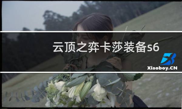 云顶之弈卡莎装备s6.5