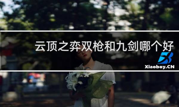 云顶之弈双枪和九剑哪个好