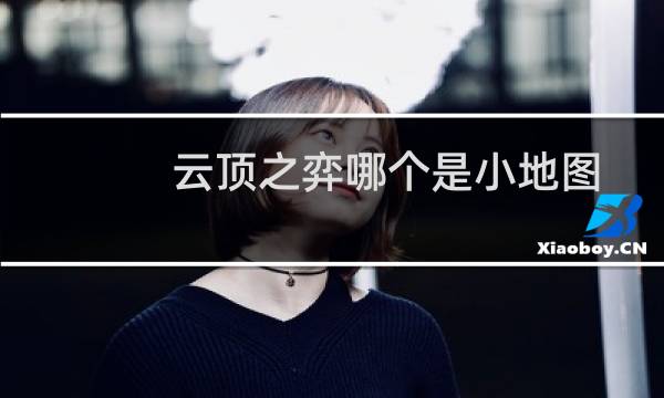 云顶之弈哪个是小地图
