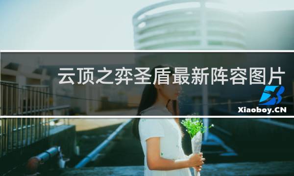 云顶之弈圣盾最新阵容图片