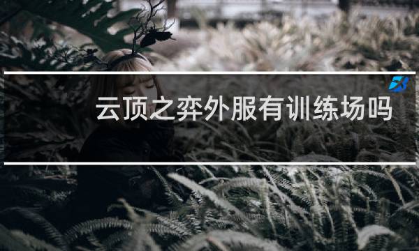 云顶之弈外服有训练场吗