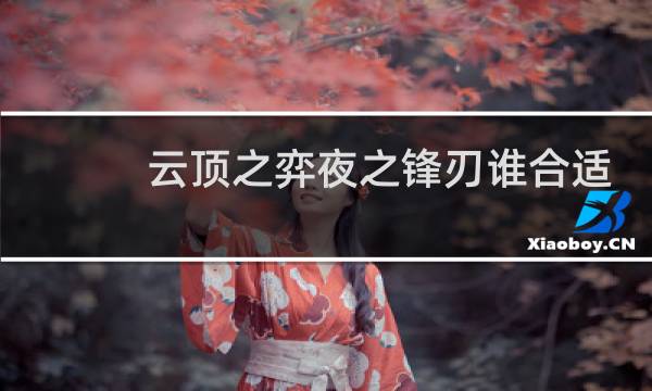 云顶之弈夜之锋刃谁合适