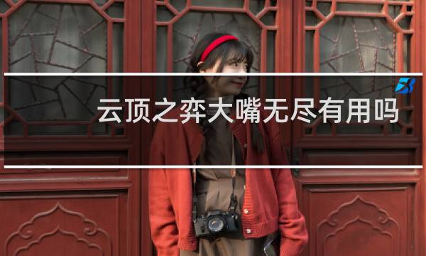 云顶之弈大嘴无尽有用吗