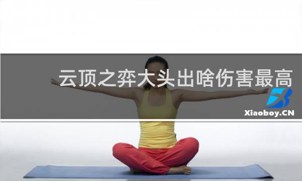 云顶之弈大头出啥伤害最高