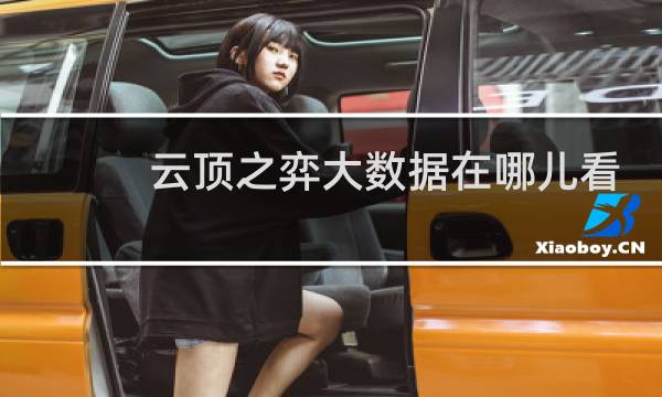 云顶之弈大数据在哪儿看