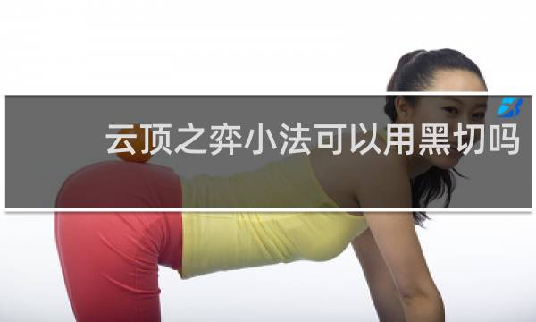 云顶之弈小法可以用黑切吗