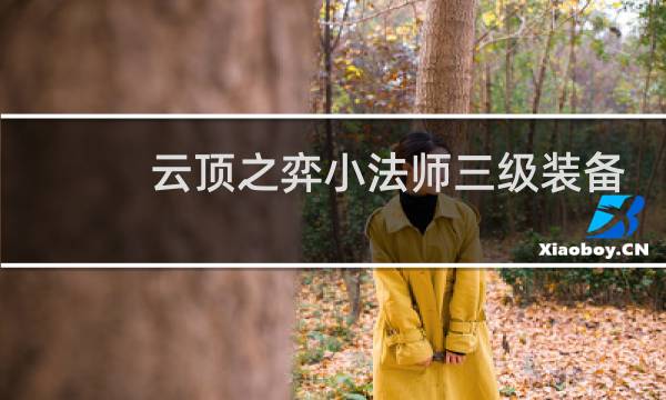 云顶之弈小法师三级装备