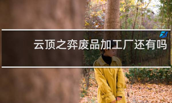云顶之弈废品加工厂还有吗