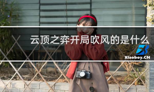 云顶之弈开局吹风的是什么