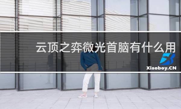 云顶之弈微光首脑有什么用